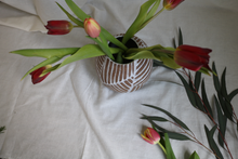 Load image into Gallery viewer, Round Pattern Line Vase (Qty. 1)
